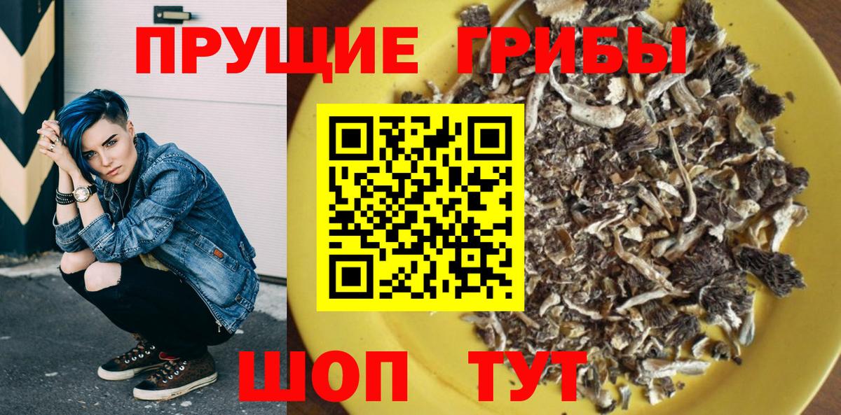 Галлюциногенные грибы прущие грибы  Галлюциногенные грибы GOLDEN TEACHER  Ленинск-Кузнецкий  Вход с VPN 