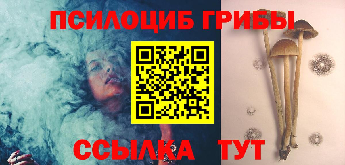 Галлюциногенные грибы Cubensis Ленинск-Кузнецкий